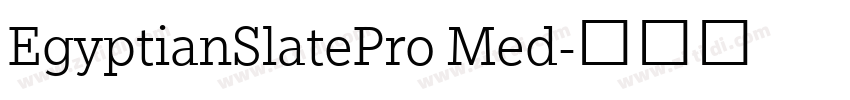 EgyptianSlatePro Med字体转换
